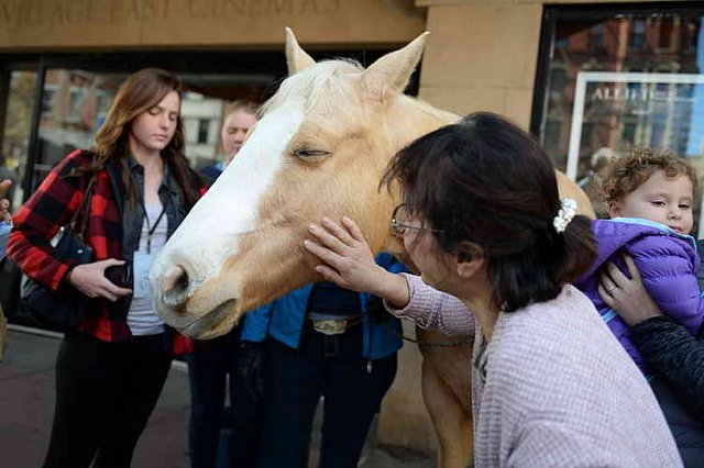 EQUUSFF-11-2016-8192--DDeRosaPhoto