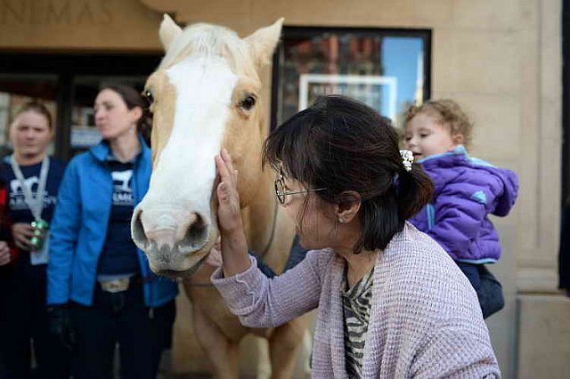 EQUUSFF-11-2016-8199--DDeRosaPhoto