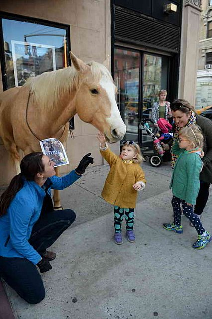 EQUUSFF-11-2016-8237--DDeRosaPhoto