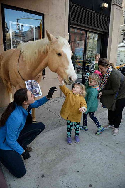 EQUUSFF-11-2016-8238--DDeRosaPhoto