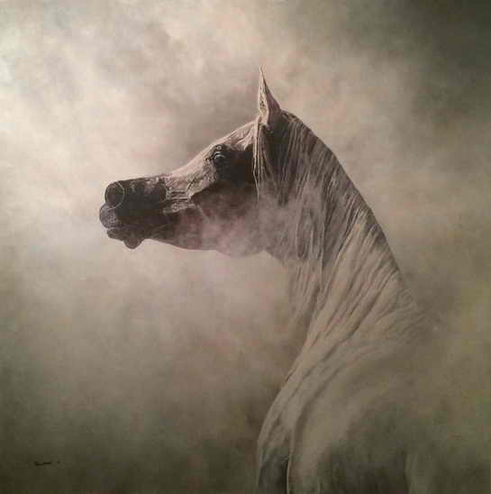 Erna Goudbeek - A Proud Arabian Horse in the Mist...