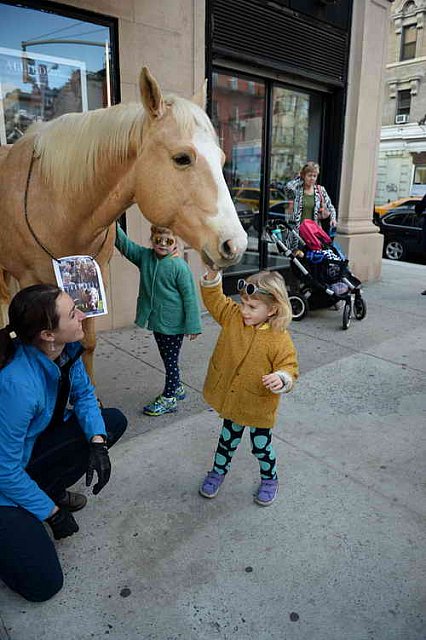 EQUUSFF-11-2016-8243--DDeRosaPhoto