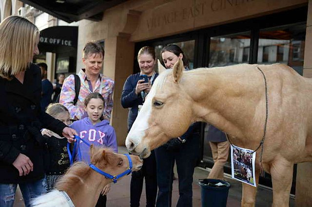 EQUUSFF-11-2016-8273--DDeRosaPhoto