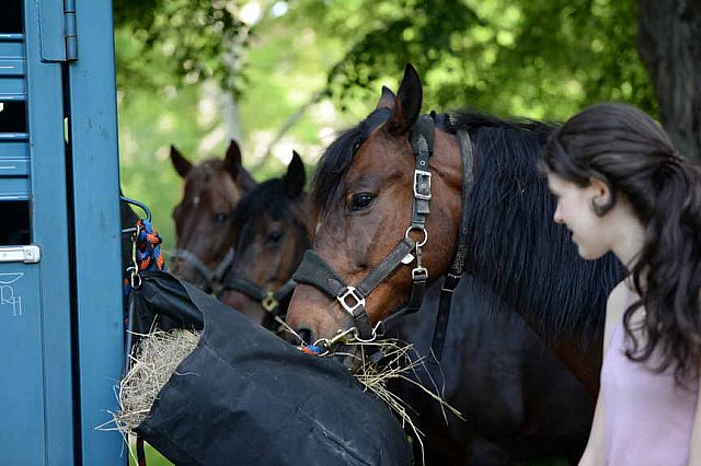 GALLOPNYC-5-22-2022-4120-DDeRosaPhoto