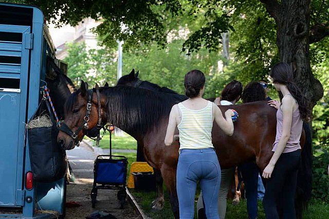 GALLOPNYC-5-22-2022-4133-DDeRosaPhoto