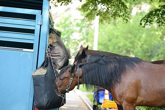 GALLOPNYC-5-22-2022-4137-DDeRosaPhoto