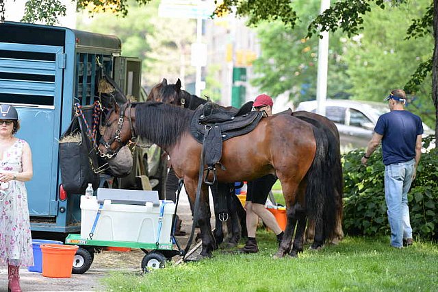 GALLOPNYC-5-22-2022-4153-DDeRosaPhoto