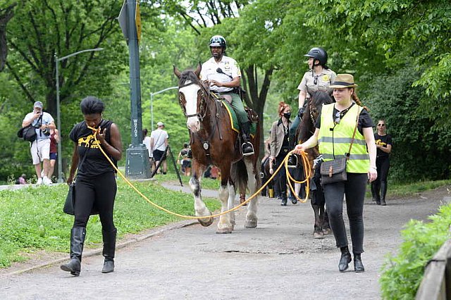 GALLOPNYC-5-22-2022-4316-DDeRosaPhoto