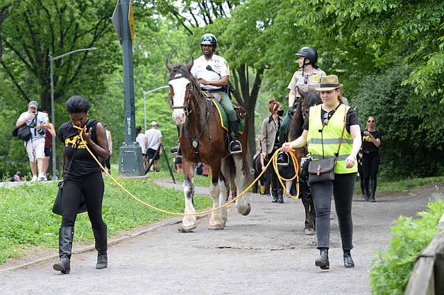 GALLOPNYC-5-22-2022-4317-DDeRosaPhoto