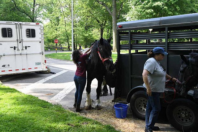 GALLOPNYC-5-22-2022-9383-DDeRosaPhoto