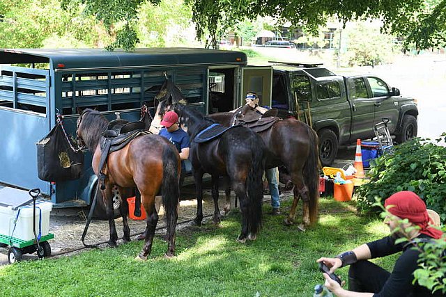 GALLOPNYC-5-22-2022-9386-DDeRosaPhoto