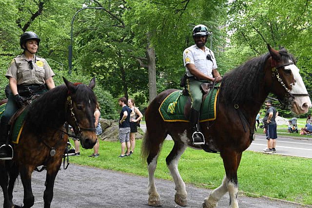 GALLOPNYC-5-22-2022-9556-DDeRosaPhoto