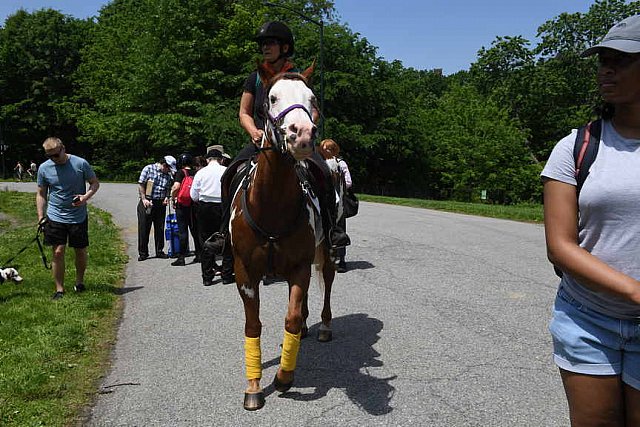 GALLOPNYC-5-22-2022-9612-DDeRosaPhoto