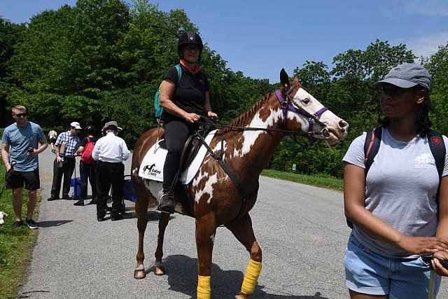 GALLOPNYC-5-22-2022-9613-DDeRosaPhoto