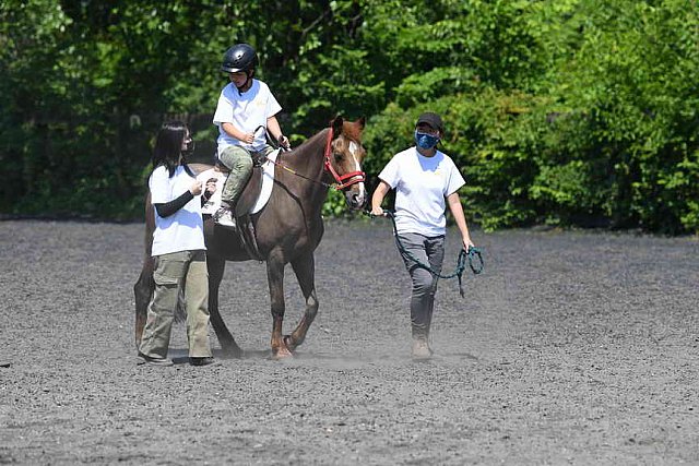 GallopNYC Sunrise-Farm-06-26-22-0914-DDeRosaPhoto