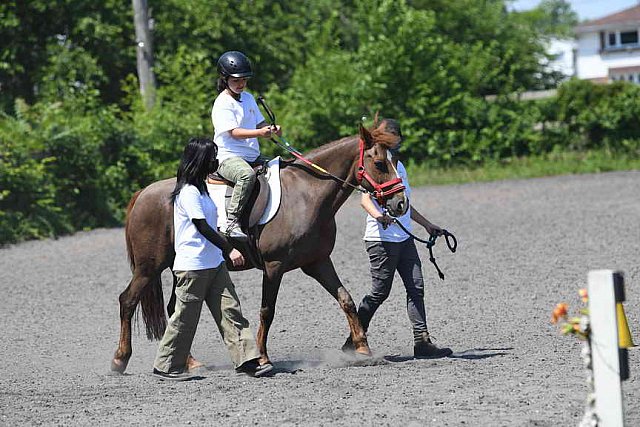 GallopNYC Sunrise-Farm-06-26-22-0919-DDeRosaPhoto