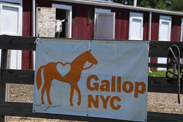 GallopNYC Sunrise-Farm-06-26-22-1199-DDeRosaPhoto