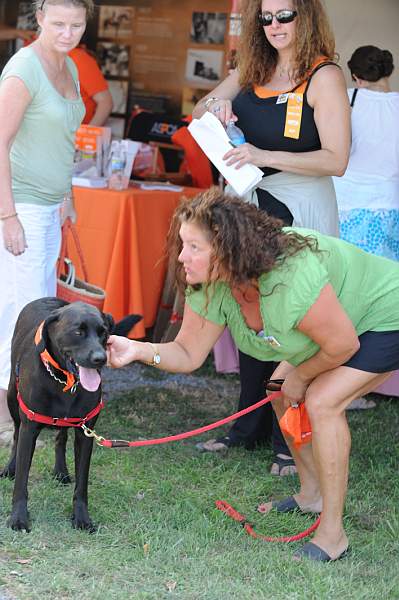 HC09-8-23-09-Celebrity-Dogs-0080-DDeRosaPhoto.jpg