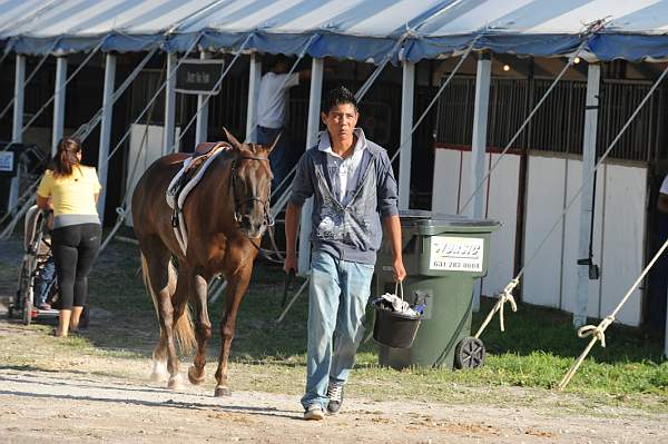 HC-10-29-10_0489-DDeRosaPhoto.jpg
