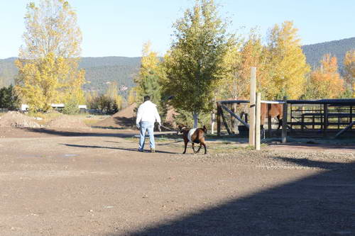 HHB2-10-14-12-2085-DDeRosaPhoto