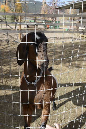 HHB2-10-16-12-2458-DDeRosaPhoto