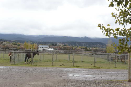 HHB2-10-13-12-0055-DDeRosaPhoto