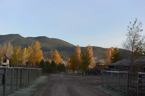 HHB2-10-16-12-2211-DDeRosaPhoto-DDeRosaPhoto