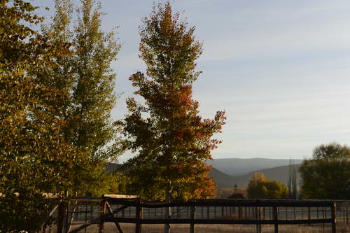 HHB2-10-16-12-2251-DDeRosaPhoto-DDeRosaPhoto