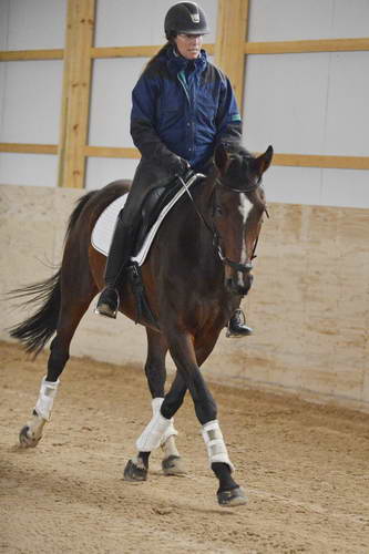 HHB1-10-13-12-9424-EauDeVie-MarianNilsen-DDeRosaPhoto