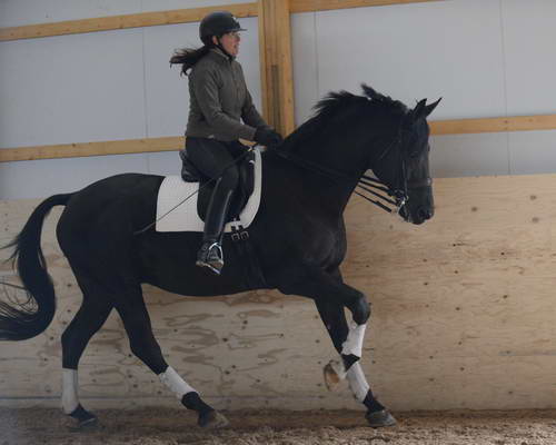 HHB2-10-13-12-0563-Frodo-MarianNilsen-DDeRosaPhoto