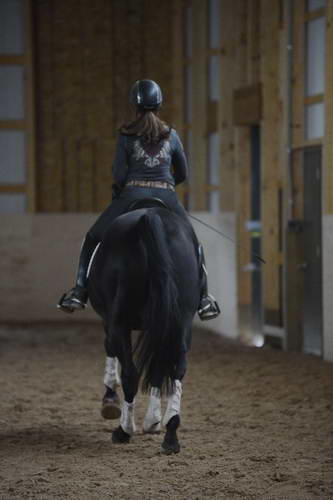 HHB2-10-13-12-0690-Frodo-MarianNilsen-DDeRosaPhoto