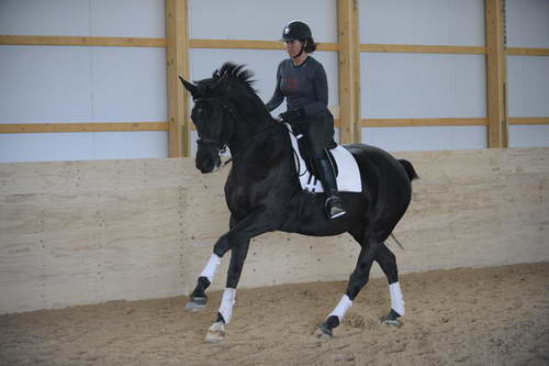 HHB2-10-13-12-0724-Frodo-MarianNilsen-DDeRosaPhoto