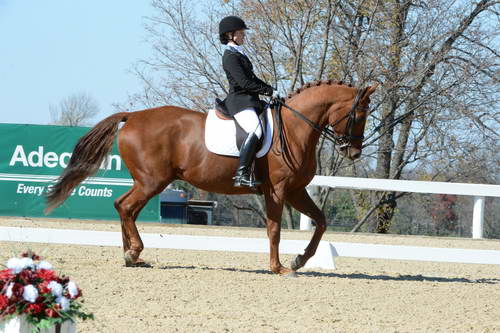 HHB-DressageFinals-11-8-13-0581-DDeRosaPhoto