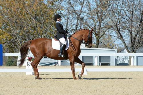 HHB-DressageFinals-11-8-13-0585-DDeRosaPhoto