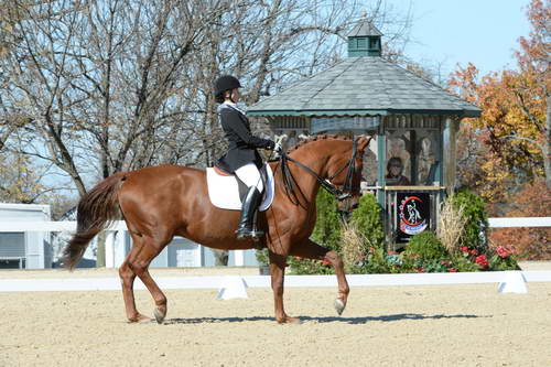 HHB-DressageFinals-11-8-13-0587-DDeRosaPhoto