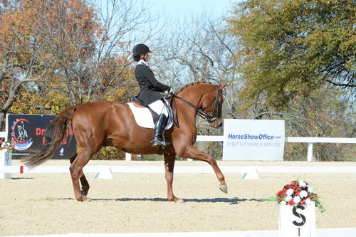 HHB-DressageFinals-11-8-13-0588-DDeRosaPhoto