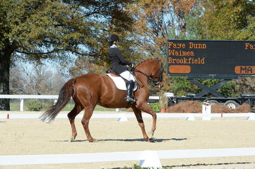 HHB-DressageFinals-11-8-13-0590-DDeRosaPhoto