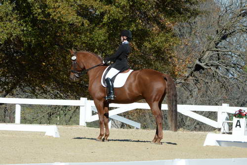 HHB-DressageFinals-11-8-13-0593-DDeRosaPhoto