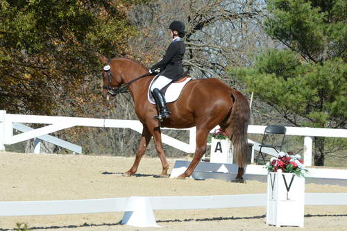 HHB-DressageFinals-11-8-13-0596-DDeRosaPhoto