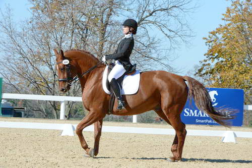 HHB-DressageFinals-11-8-13-0608-DDeRosaPhoto