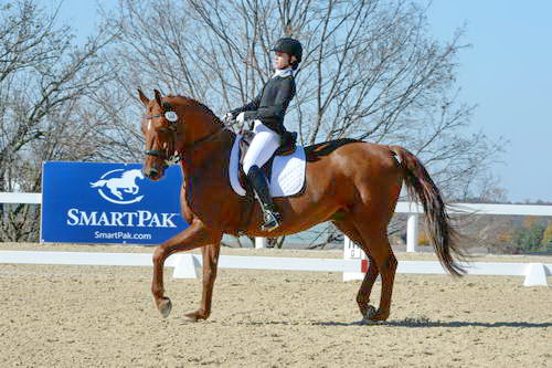 HHB-DressageFinals-11-8-13-0609-DDeRosaPhoto