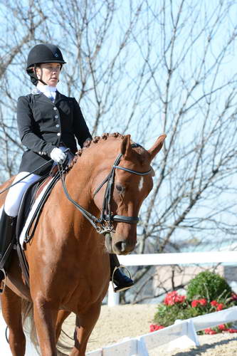 HHB-DressageFinals-11-8-13-0610-DDeRosaPhoto