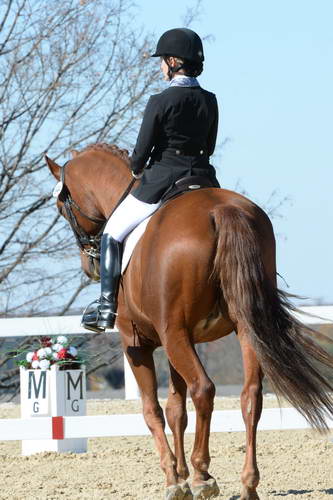 HHB-DressageFinals-11-8-13-0612-DDeRosaPhoto