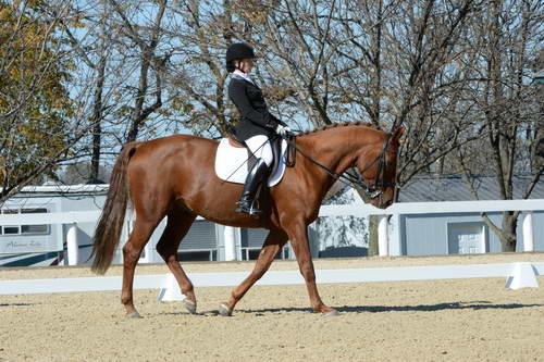 HHB-DressageFinals-11-8-13-0618-DDeRosaPhoto