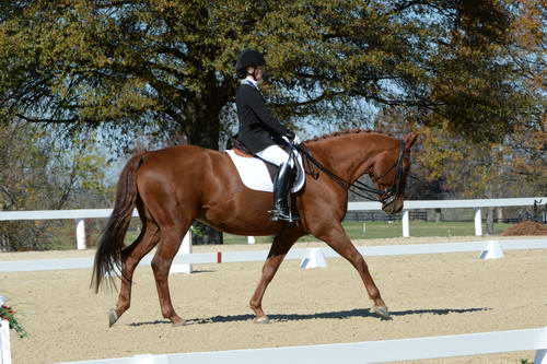 HHB-DressageFinals-11-8-13-0621-DDeRosaPhoto