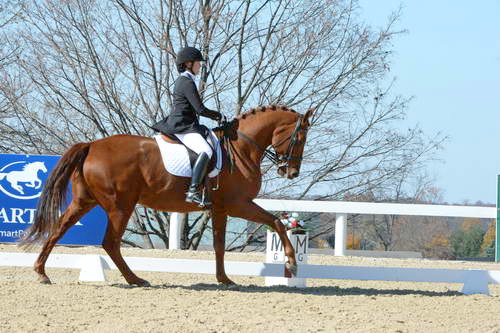 HHB-DressageFinals-11-8-13-0630-DDeRosaPhoto