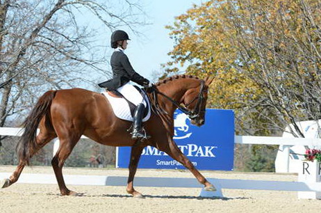 HHB-DressageFinals-11-8-13-0631-DDeRosaPhoto