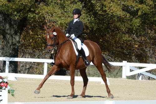 HHB-DressageFinals-11-8-13-0634-DDeRosaPhoto