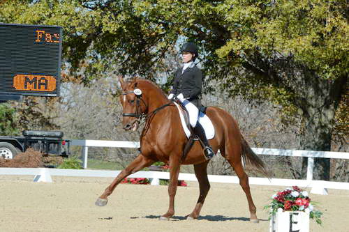 HHB-DressageFinals-11-8-13-0635-DDeRosaPhoto