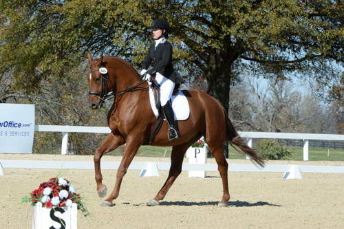 HHB-DressageFinals-11-8-13-0637-DDeRosaPhoto